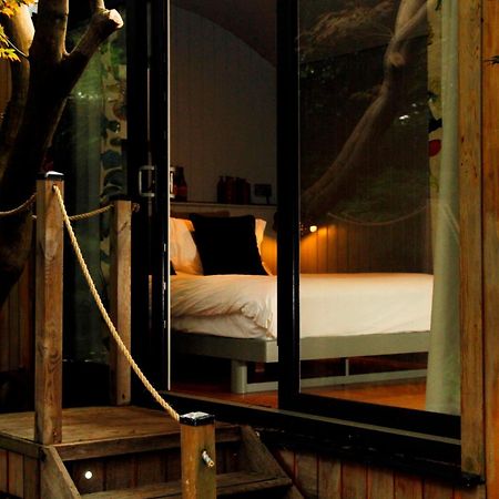 Victorian House Bed and Breakfast Grasmere Rum bild
